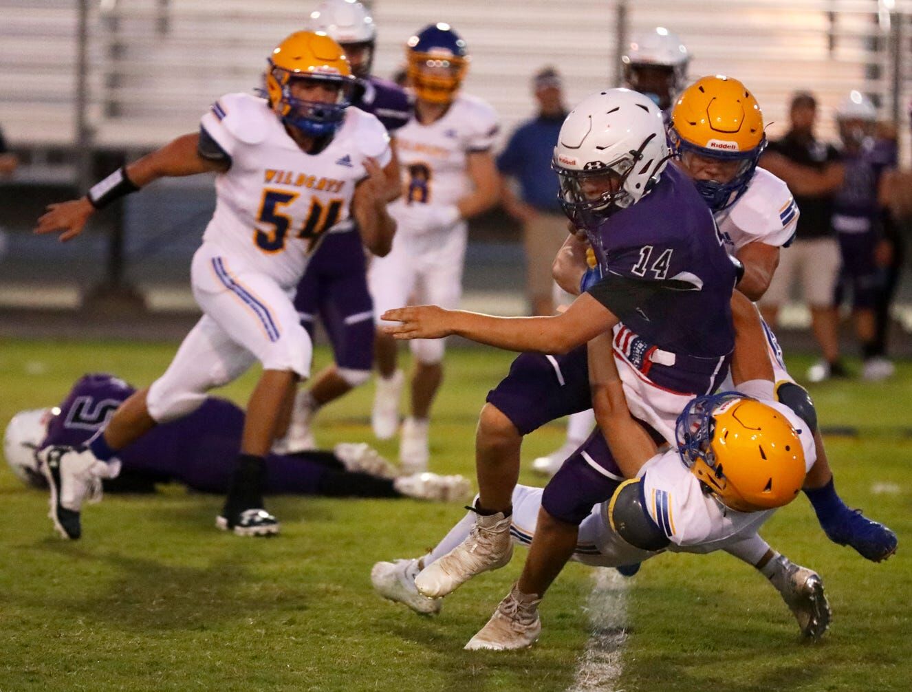 Wwildcat Defense